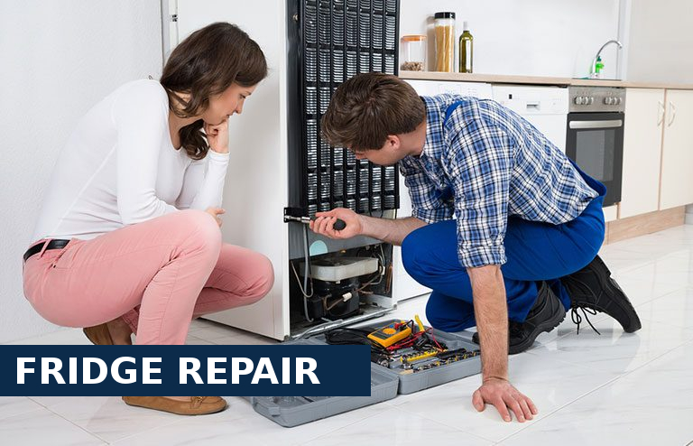 Fridge Repair Hornsey